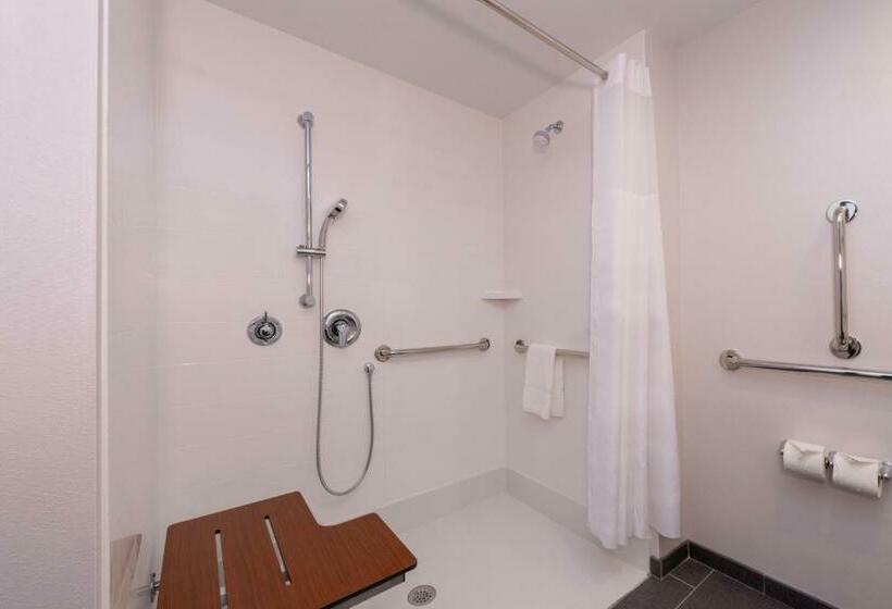 غرفة قياسية سرير كينج لذوى الإحتياجات الخاصة, Hampton Inn & Suites Winstonsalem Downtown