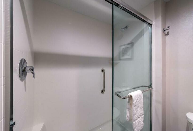 Студия Стандарт, Hampton Inn & Suites Winstonsalem Downtown