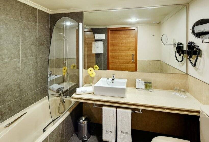 스탠다드 룸, Sercotel Gran Hotel Zurbarán