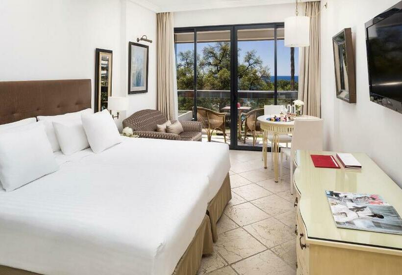 庭の見えるプレミアムルーム, Don Pepe Gran Melia