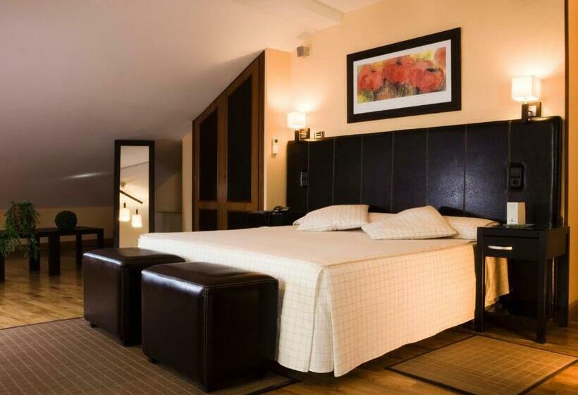 豪华房间, Infanta Isabel By Recordis Hotels