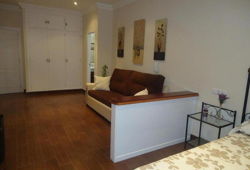 Люкс Повышенной Комфортности, Hostal Los Dos Naranjos