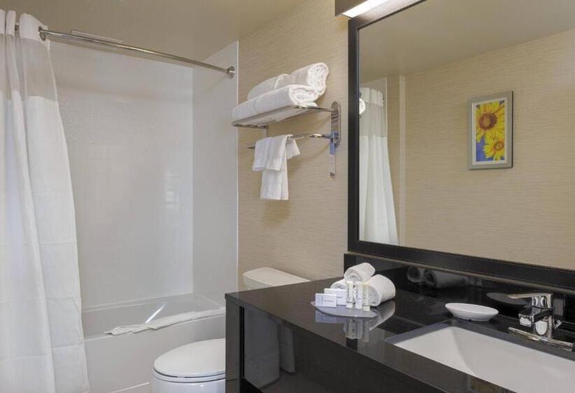 Стандартный Номер Кровать Кинг, Fairfield Inn & Suites By Marriott Belleville
