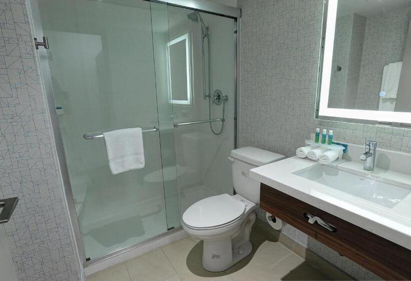 Camera Standard Letto King Accessibile ai persone con mobilità ridotta, Holiday Inn Express & Suites Toronto Airport West, An Ihg