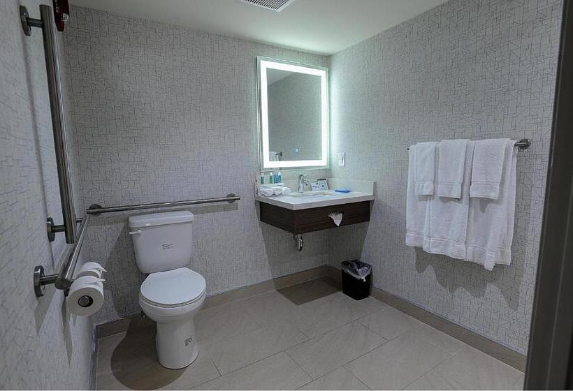 Camera Standard Letto King Accessibile ai persone con mobilità ridotta, Holiday Inn Express & Suites Toronto Airport West, An Ihg
