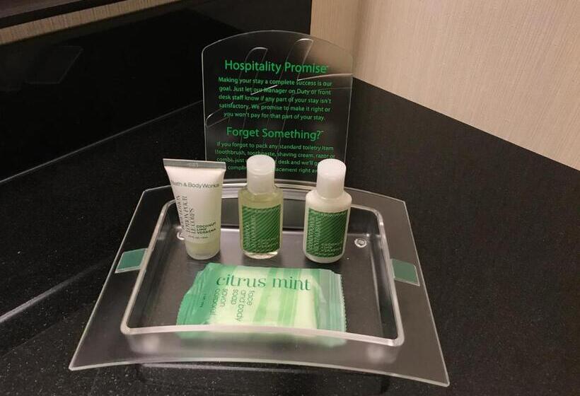 スタンダード４人部屋, Holiday Inn & Suites Winnipeg Downtown, An Ihg