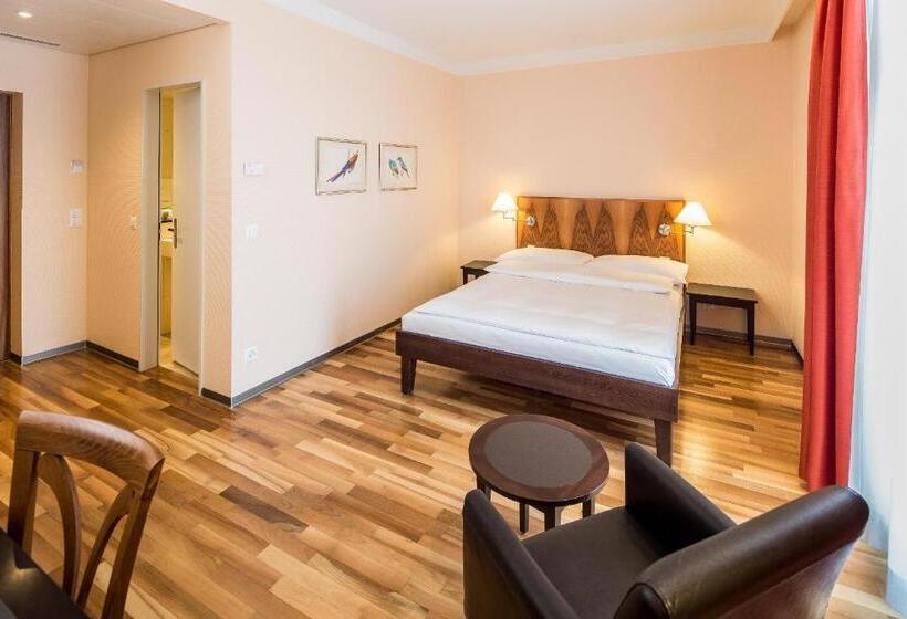 Номер бизнес-класса, Schweizerhof Basel
