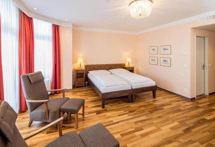 Номер Стандарт Индивидуальный, Schweizerhof Basel