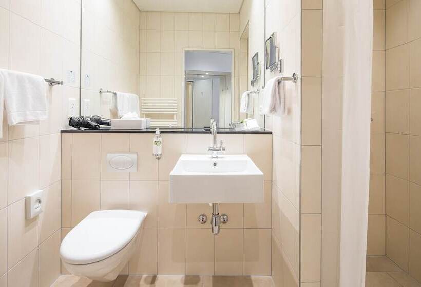 Номер Economy Индивидуальный, Schweizerhof Basel