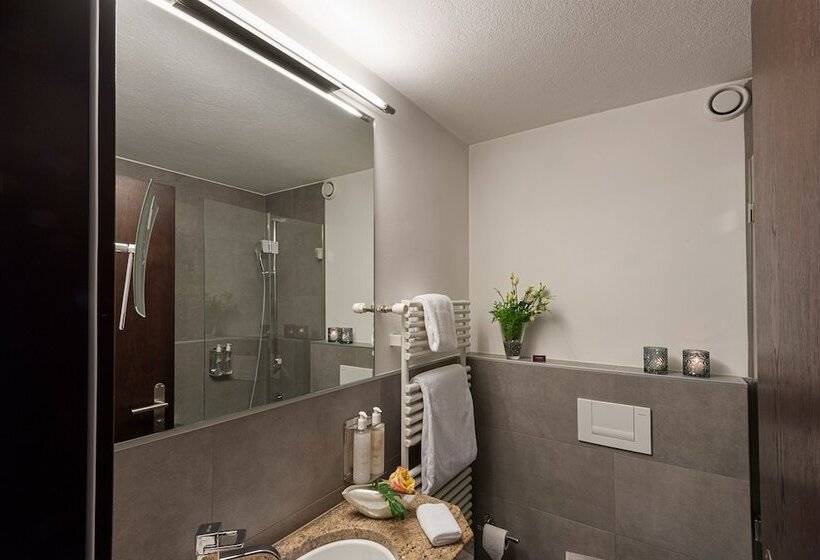 스탠다드 싱글 룸, Le Mirabeau Resort & Spa Zermatt