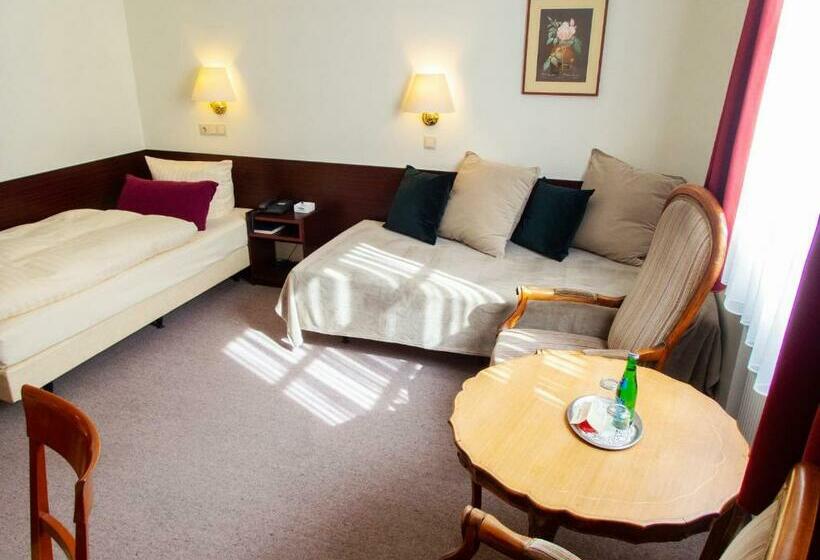 اتاق استاندارد, Bürgerhof Wetzlar