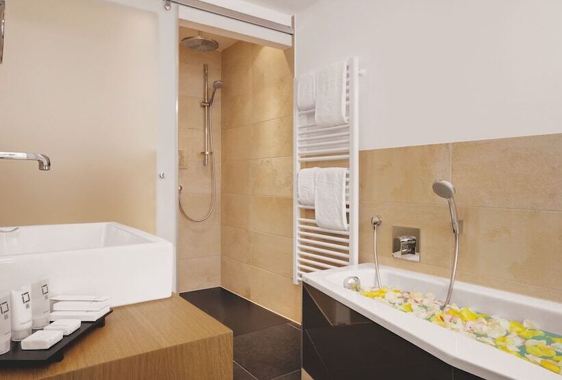 デラックスルーム, Alpen Hotel München