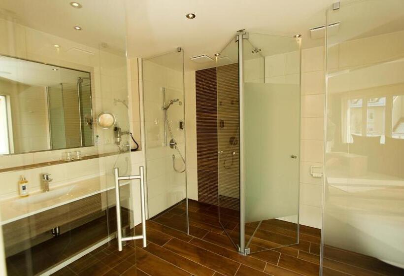 Полулюкс Повышенной Комфортности, Dirsch Wellness & Spa Resort