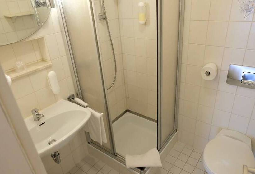 Номер Стандарт, Romantica Hotel Blauer Hecht