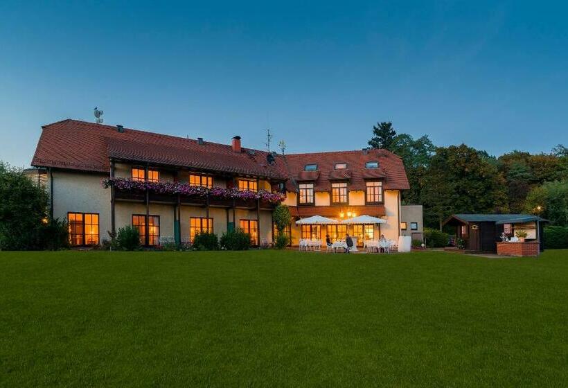 Номер Комфорт, Krone Am Park   Gästehaus Des Hotel Krone