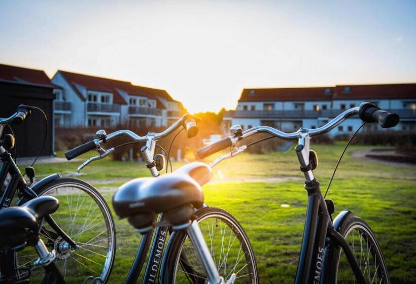 Апартаменты 1 Спальня, Color Hotel Skagen