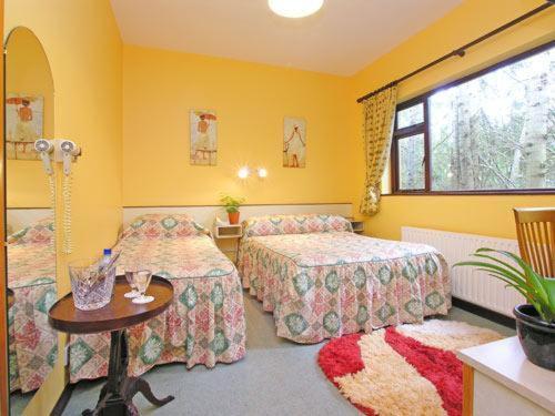 スタンダードトリプルルーム, 19th Green Guesthouse