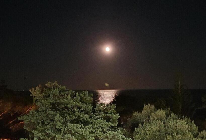 Номер Стандарт Вид на Море, Cyrnea
