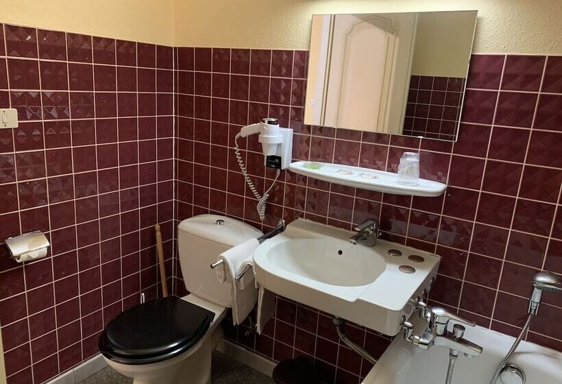 Номер Стандарт, Logis Cit Hôtel Des Vosges 5 Rue De La Gare