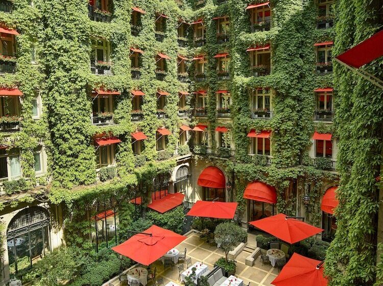 سوییت لوکس, Plaza Athenee  Dorchester Collection