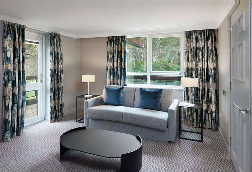 Полулюкс Кровать Кинг, Hilton Cobham