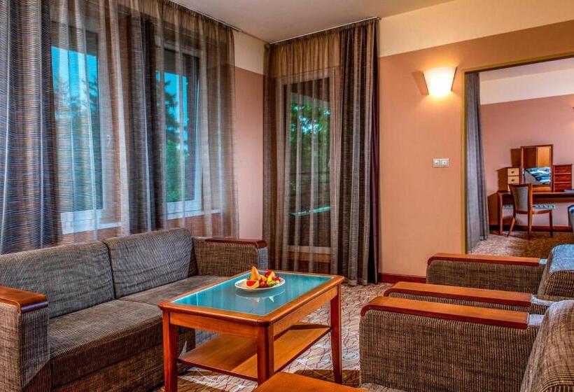 Люкс, Dráva Hotel Thermal Resort
