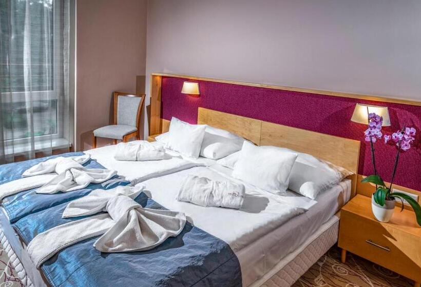 Номер Superior, Dráva Hotel Thermal Resort