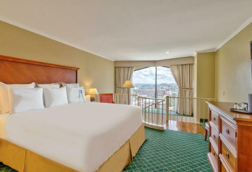 メゾネットスイート, Barcelo Guatemala City