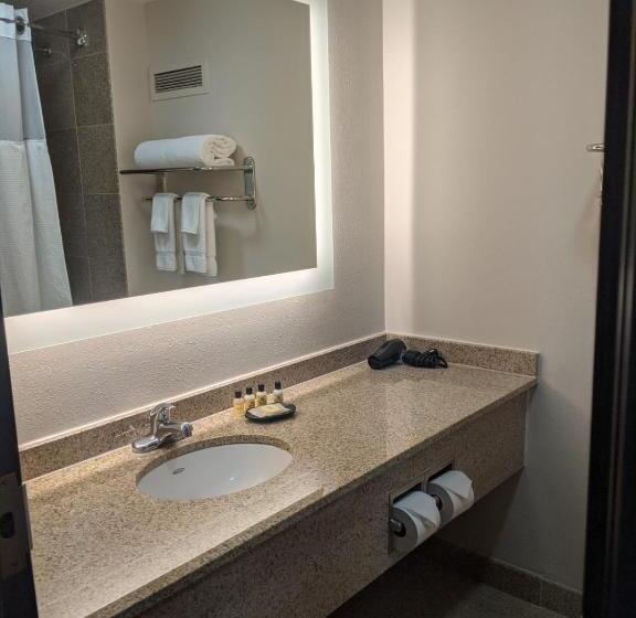 Mozgáskorlátozott Standard Szoba, Wyndham Indianapolis Airport
