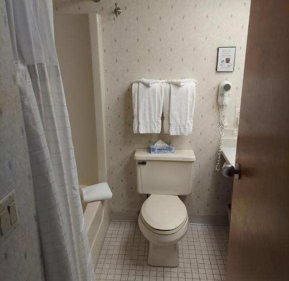 Люкс Deluxe Кровать Кинг, Fireside Inn & Suites Gilford