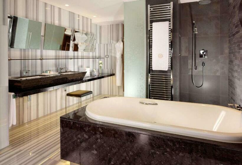 １ベッドルームアパートメント, Swissotel The Bosphorus Istanbul
