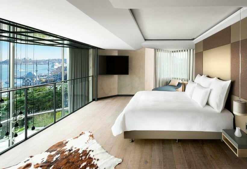 テラスつきの２ベッドルームアパートメント, Swissotel The Bosphorus Istanbul