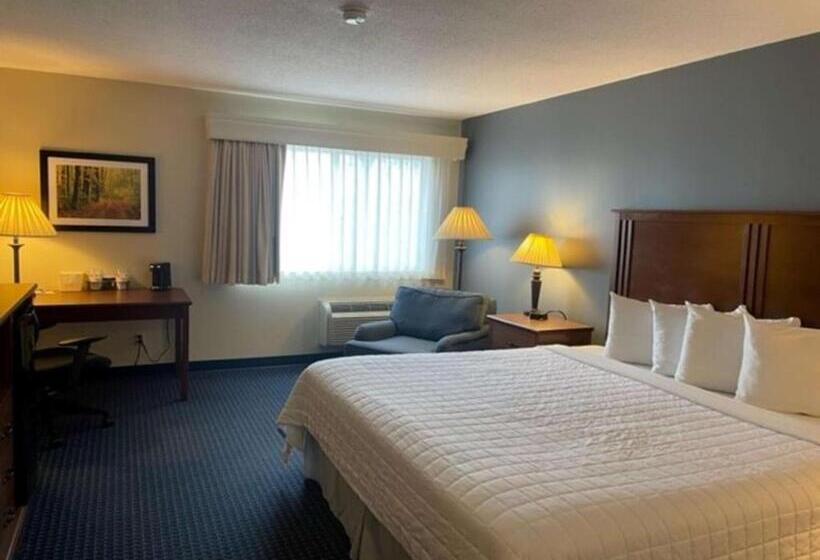 غرفة قياسية سرير كينج, Best Western Inn