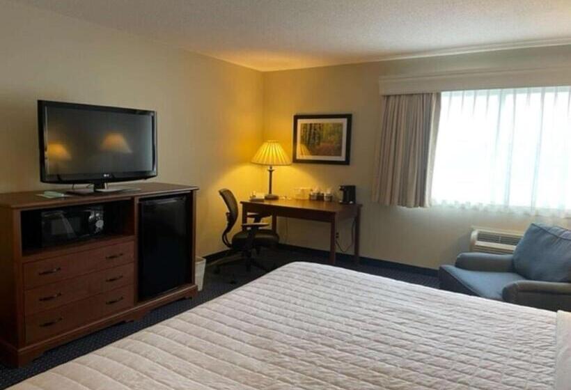 غرفة قياسية سرير كينج لذوى الإحتياجات الخاصة, Best Western Inn