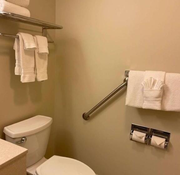 Номер Стандарт Кровать Кинг Адаптированный для Инвалидов, Best Western Inn