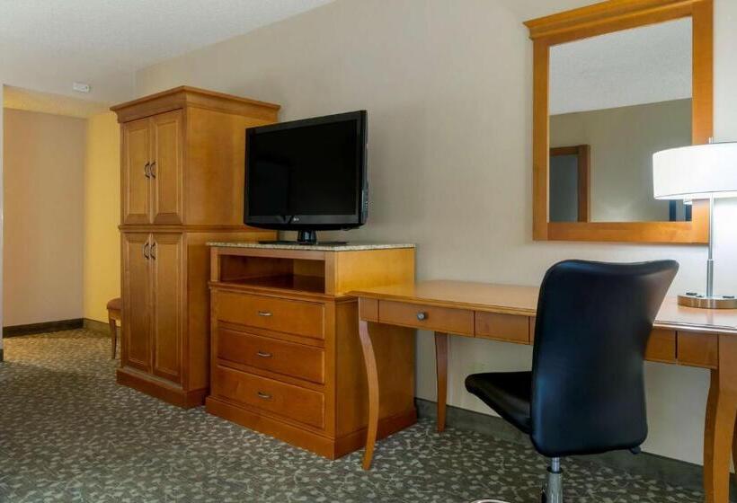 스탠다드 룸 킹사이즈 침대, Best Western Plus Oak Harbor Hotel And Conference Center