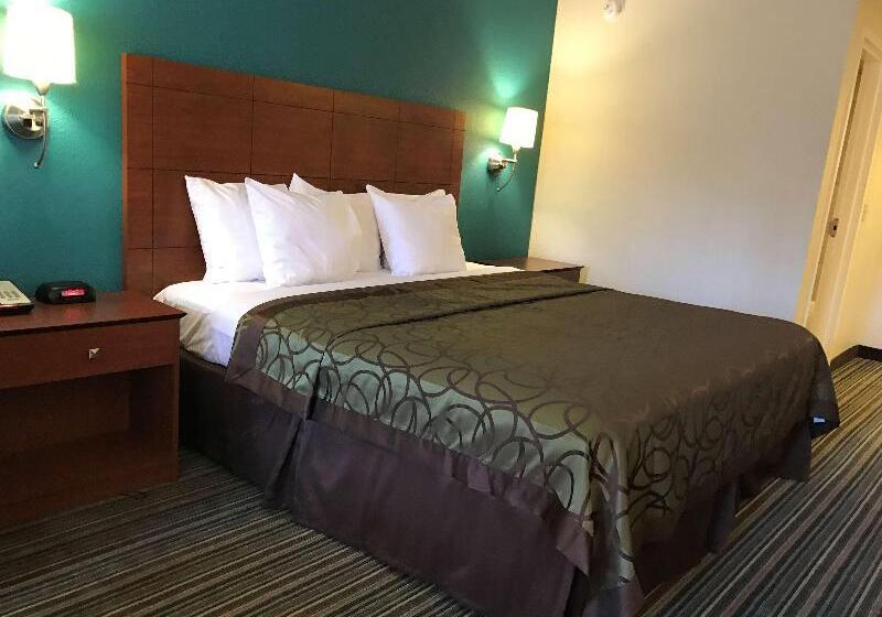 스탠다드 룸 킹사이즈 침대, Best Western Tallahasseedowntown Inn And Suites