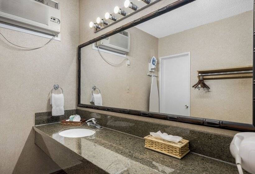 Deluxe Room, Caliente Tropics