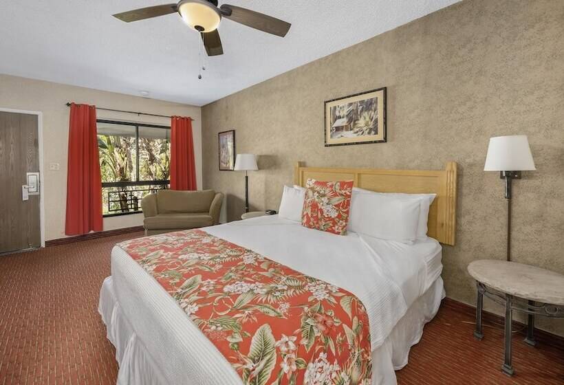 Deluxe Room, Caliente Tropics
