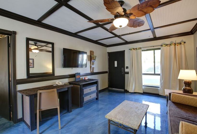 Suite, Caliente Tropics