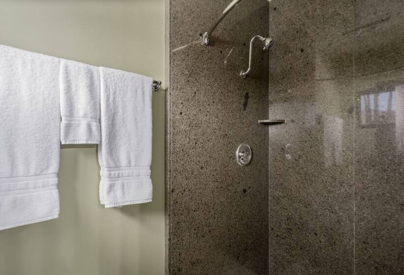 Deluxe Room, Caliente Tropics