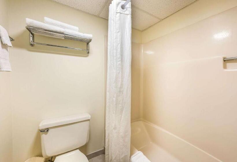 Стандартный Номер Кровать Кинг, Econo Lodge Quakertown