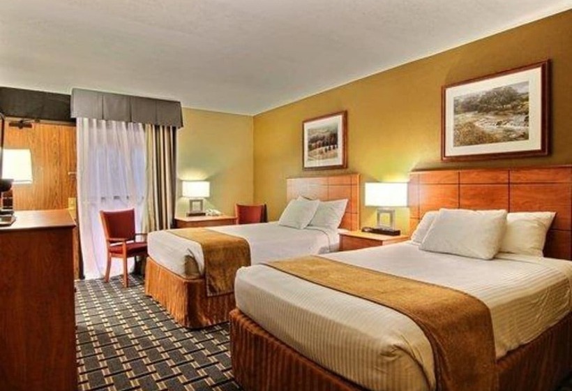 Номер Стандарт 2 Двуспальные Кровати, Quality Inn