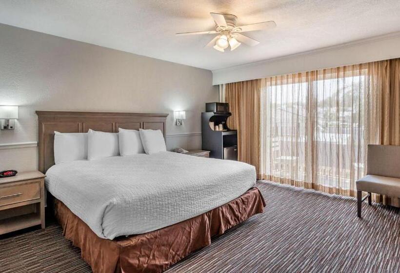Номер Deluxe Кровать Кинг, Best Western San Marcos Inn