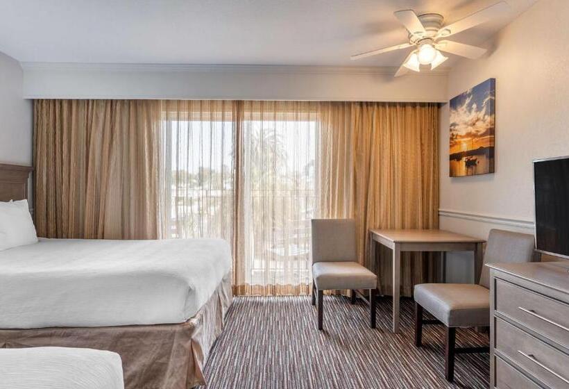Номер Deluxe, Best Western San Marcos Inn