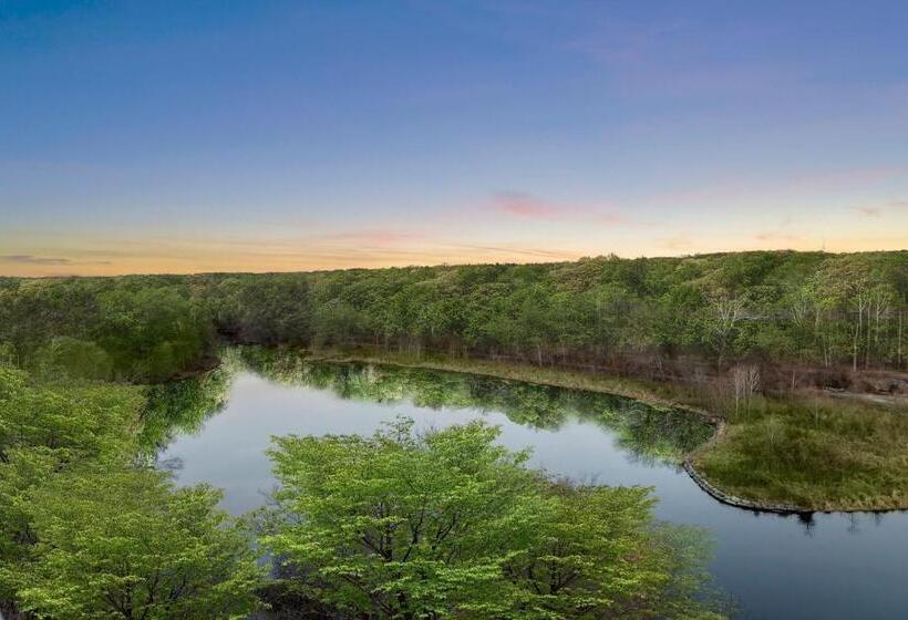주니어 스위트 킹사이즈 침대, Merriweather Lakehouse Hotel, Autograph Collection