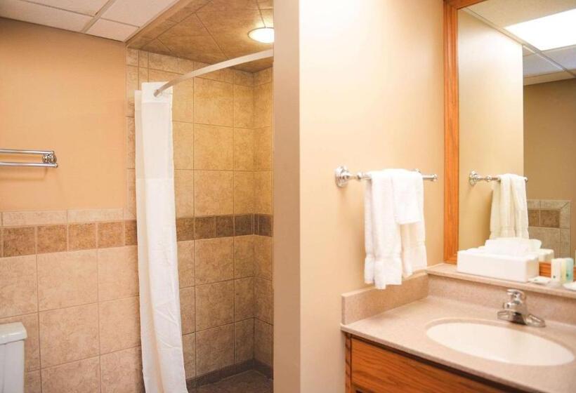 Номер Стандарт, Quality Inn & Suites Ames Conference Center Near Isu Campus