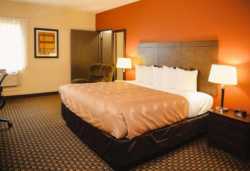 Номер Стандарт Кровать Кинг Адаптированный для Инвалидов, Quality Inn & Suites Ames Conference Center Near Isu Campus
