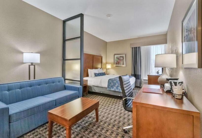 스위트, Best Western Plus Greenville I385 Inn & Suites