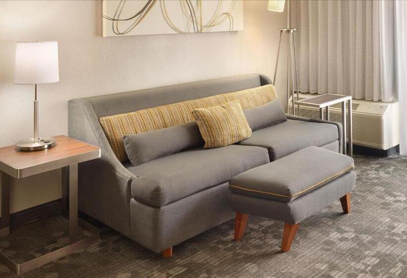 Люкс Кровать Кинг, Courtyard By Marriott Atlanta Airport South/sullivan Road